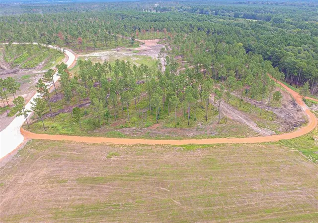 Photo 4 of Land for sale at 0010 Nelson Dr, Livingston, TX 77351 | MLS# 88162739 | Listing updated on 2026-04-01