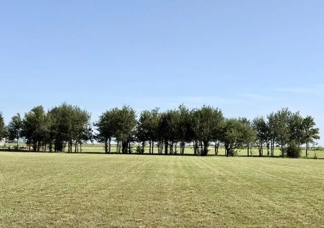 Photo 4 of Single family home for sale at 7490 Fm 2546 Rd #7500, El Campo, TX 77437 | MLS# 33056944 | Listing updated on 2026-07-23