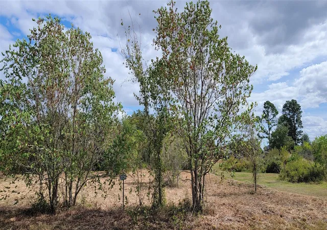 1st image of 20736 Pearl St, Waller, TX 77484 | MLS# 83312081