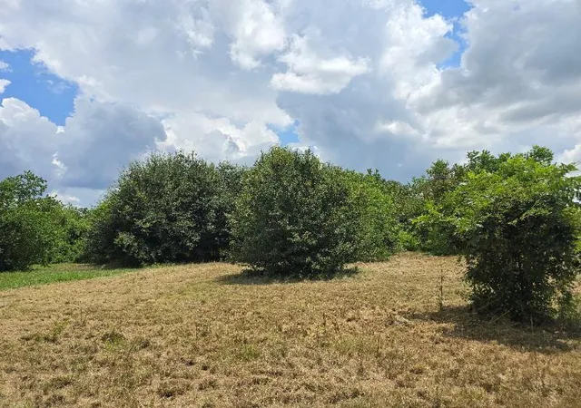 2nd image of 20736 Pearl St, Waller, TX 77484 | MLS# 83312081