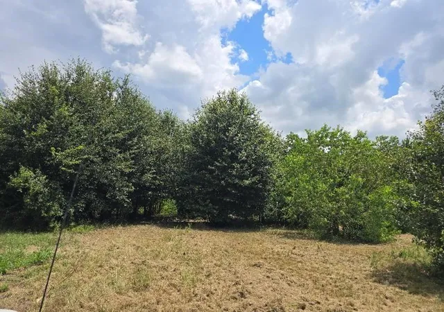 image of 20736 Pearl St, Waller, TX 77484 | MLS# 83312081