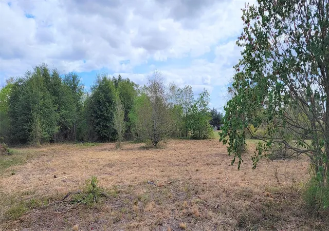 4th image of 20736 Pearl St, Waller, TX 77484 | MLS# 83312081