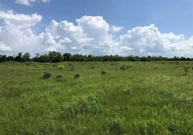 Photo 1 of Land for sale at Tbd County Road 182, Raywood, TX 77582 | MLS# 39734380 | Listing updated on 2026-08-01
