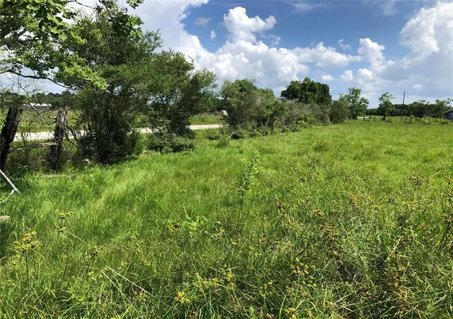 Photo 3 of Land for sale at Tbd County Road 182, Raywood, TX 77582 | MLS# 39734380 | Listing updated on 2026-08-01