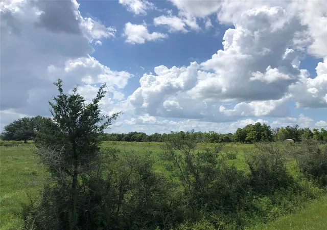Photo 4 of Land for sale at Tbd County Road 182, Raywood, TX 77582 | MLS# 39734380 | Listing updated on 2026-08-01