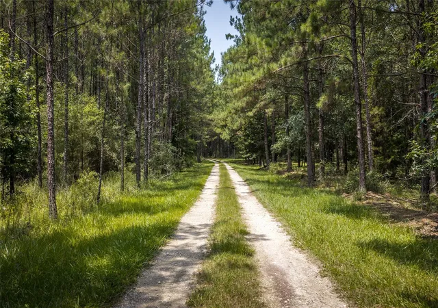 Photo 2 of Land for sale at 14912 N Highway 69, Village Mills, TX 77663 | MLS# 77538513 | Listing updated on 2026-07-06
