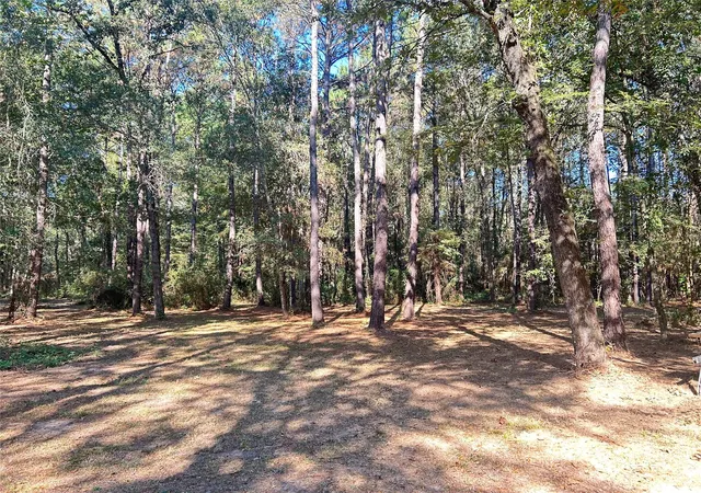 1st image of 24445 Pipestem Dr, Magnolia, TX 77355 | MLS# 37933401