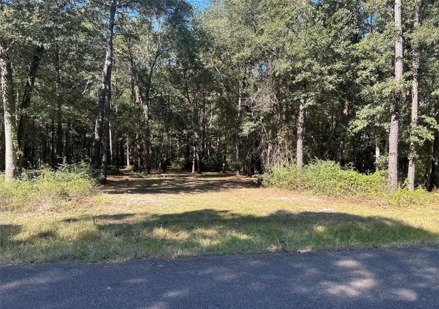 2nd image of 24445 Pipestem Dr, Magnolia, TX 77355 | MLS# 37933401