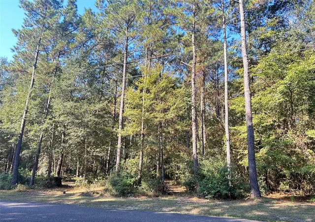3rd image of 24445 Pipestem Dr, Magnolia, TX 77355 | MLS# 37933401
