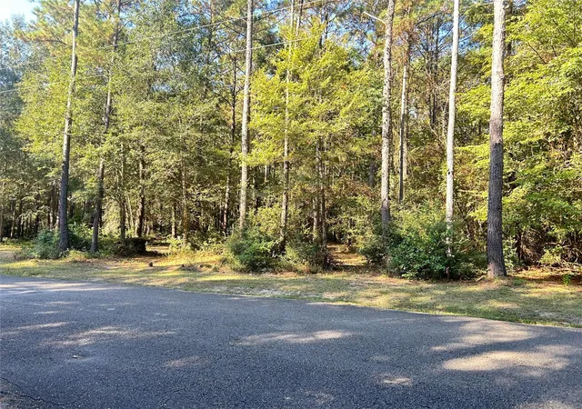 4th image of 24445 Pipestem Dr, Magnolia, TX 77355 | MLS# 37933401