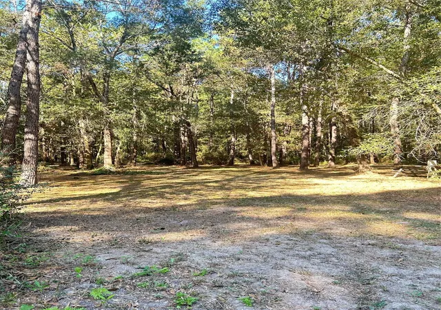 5th image of 24445 Pipestem Dr, Magnolia, TX 77355 | MLS# 37933401