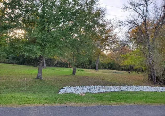 1st image of Tbd Paradise Dr, Coldspring, TX 77331 | MLS# 51184023