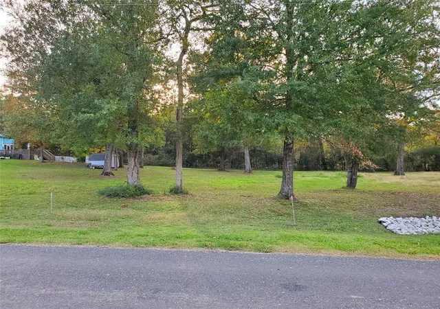 2nd image of Tbd Paradise Dr, Coldspring, TX 77331 | MLS# 51184023