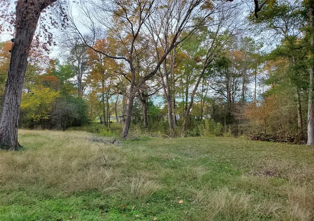 3rd image of Tbd Paradise Dr, Coldspring, TX 77331 | MLS# 51184023
