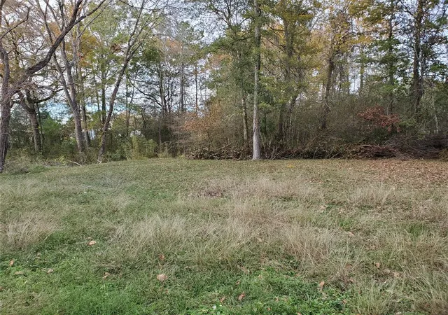 4th image of Tbd Paradise Dr, Coldspring, TX 77331 | MLS# 51184023