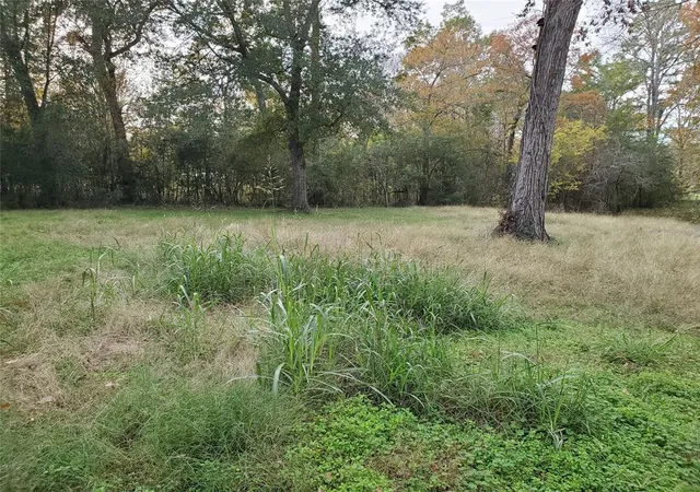 5th image of Tbd Paradise Dr, Coldspring, TX 77331 | MLS# 51184023