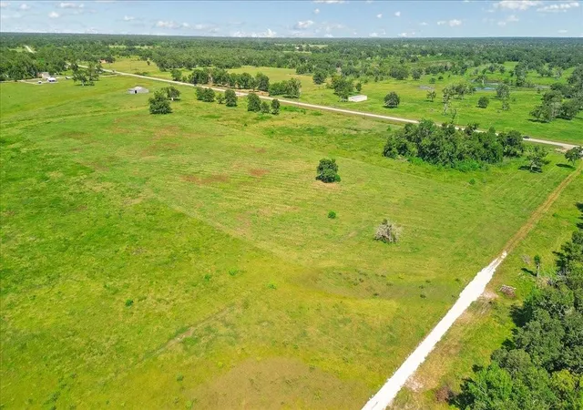 Photo 3 of Land for sale at 8922 Fm 521 Rd, Brazoria, TX 77422 | MLS# 83321927 | Listing updated on 2026-07-21