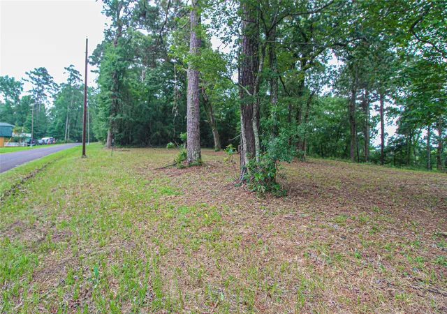 5th image of 299 Hideaway Dr, Livingston, TX 77351 | MLS# 12728948