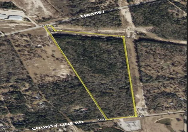 Photo 3 of Land for sale at 448+/  Ac Fm 1097 Rd, Willis, TX 77378 | MLS# 4913379 | Listing updated on 2026-04-07
