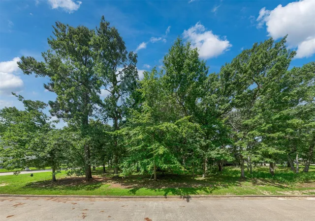 Homes for sale in Bullard, TX | 160 Eagles Bluff Blvd S, Bullard, TX 75757 | MLS# 79410155