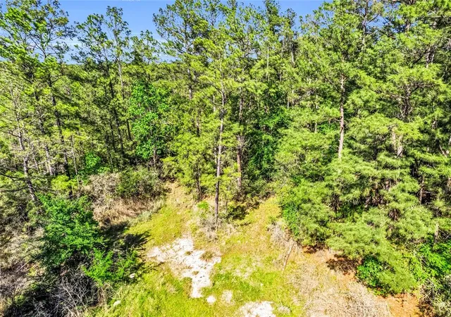 4th image of 0 Pine Ln, Onalaska, TX 77360 | MLS# 58330224