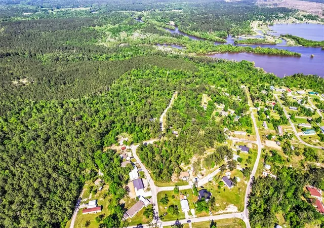 5th image of 0 Pine Ln, Onalaska, TX 77360 | MLS# 58330224