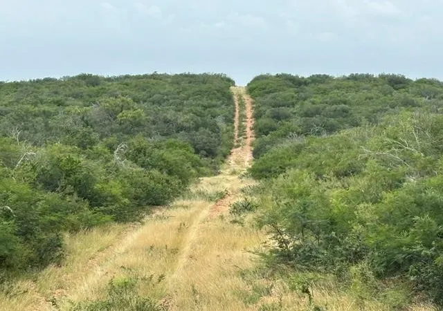 1st image of 5394 Fm 2200 W, Moore, TX 78016 | MLS# 89480542