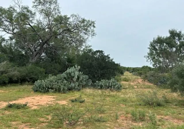 4th image of 5394 Fm 2200 W, Moore, TX 78016 | MLS# 89480542