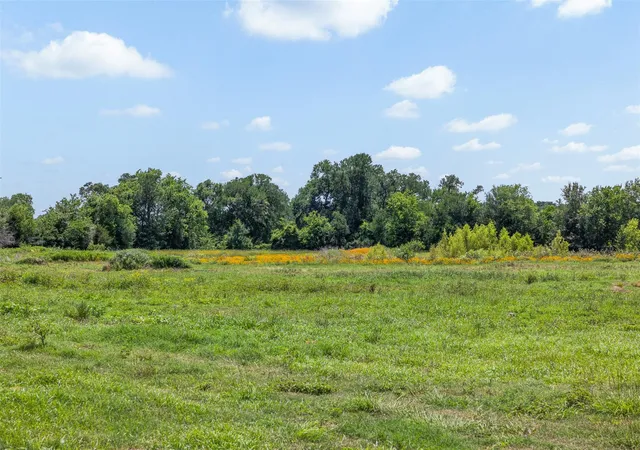 Homes for sale in Snook, TX | Tbd County Road 268, Snook, TX 77878 | MLS# 62464538