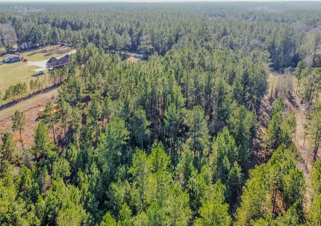14th image of 477 County Line Rd, Shepherd, TX 77371 | MLS# 52577411