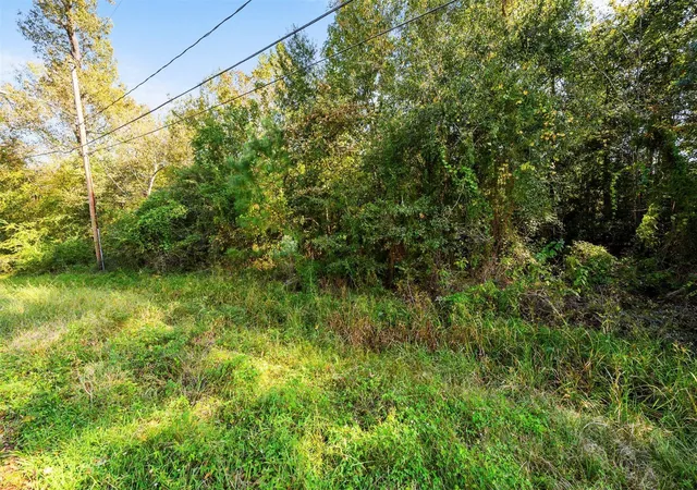 4th image of 0 Red Fox Dr, Crosby, TX 77532 | MLS# 62026796