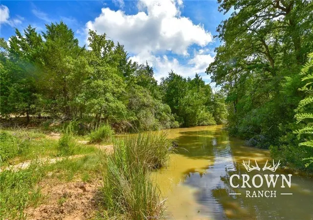 2nd image of Tbd Fm 908   1057 Acres, Caldwell, TX 77836 | MLS# 87392298