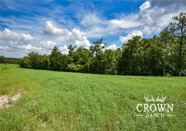 4th image of Tbd Fm 908 - 1057 Acres, Caldwell, TX 77836 | MLS# 87392298