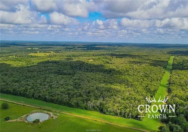 5th image of Tbd Fm 908 - 1057 Acres, Caldwell, TX 77836 | MLS# 87392298