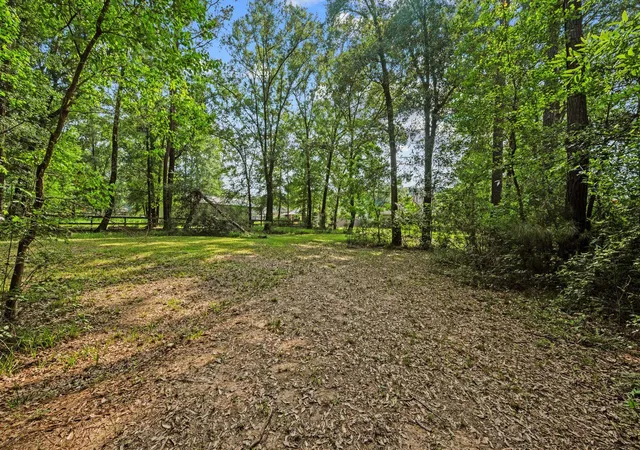30th image of 17111 Paluxy Ct, Splendora, TX 77372 | MLS# 13753229