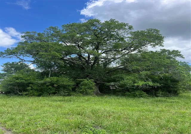 Photo 2 of Land for sale at 14113 Peters Rd, Needville, TX 77461 | MLS# 31286952 | Listing updated on 2026-09-04