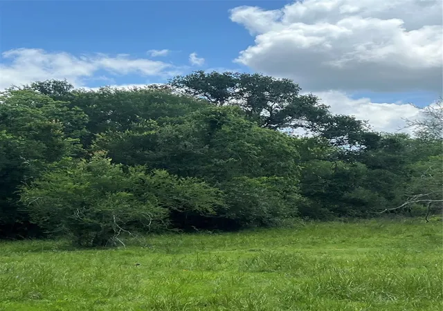 Photo 3 of Land for sale at 14113 Peters Rd, Needville, TX 77461 | MLS# 31286952 | Listing updated on 2026-09-04