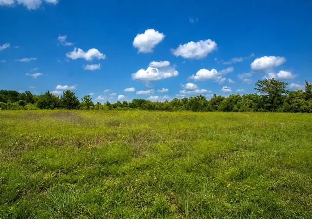 Homes for sale in Washington, TX | 3827 Felder Rd, Washington, TX 77880 | MLS# 15970626