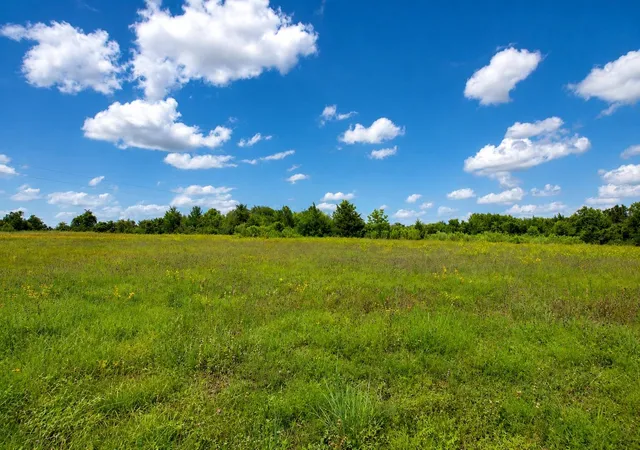 Homes for sale in Washington, TX | 3827 Felder Rd, Washington, TX 77880 | MLS# 15970626