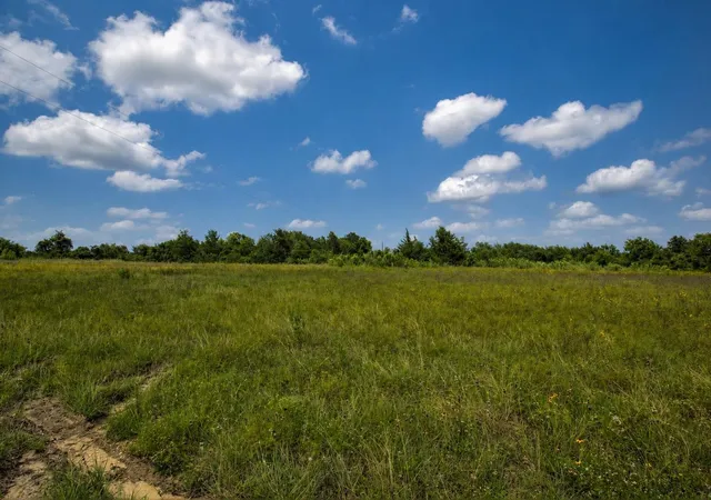 Homes for sale in Washington, TX | 3827 Felder Rd, Washington, TX 77880 | MLS# 15970626