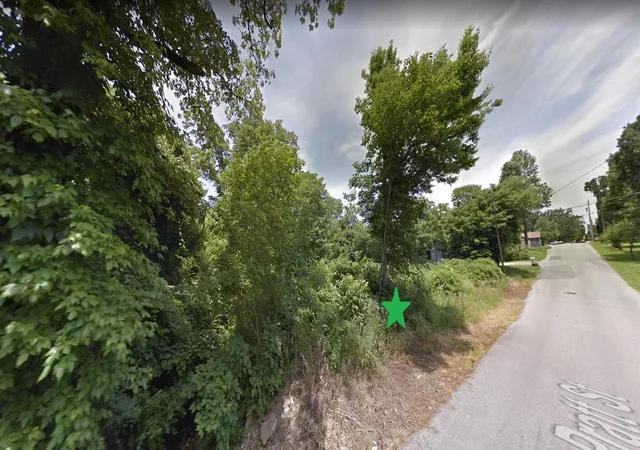 4th image of 0 S Pratt Street, Pocahontas, AR 72455 | MLS# 11836748