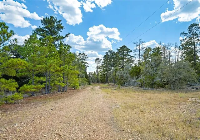 Photo 3 of Land for sale at 4605 Rocky Creek Rd, La Grange, TX 78945 | MLS# 50639036 | Listing updated on 2026-08-26