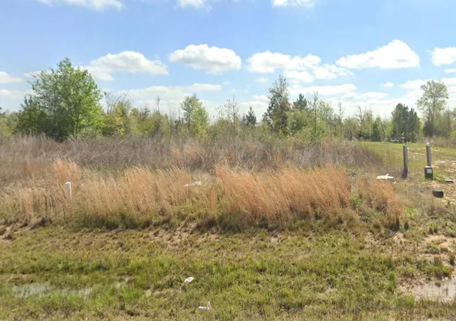 Photo 4 of Land for sale at 6443 Road 3550, New Caney, TX 77357 | MLS# 14662006 | Listing updated on 2026-06-09