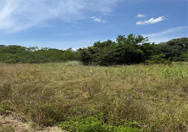 1st image of 0 County Road 438, Snook, TX 77878 | MLS# 14030483