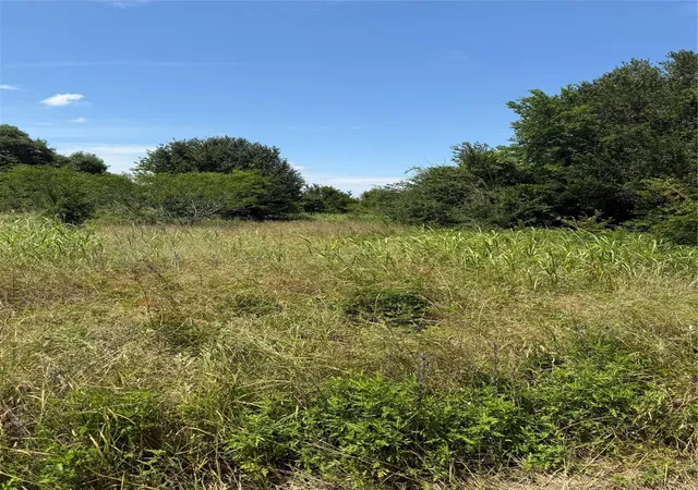 2nd image of 0 County Road 438, Snook, TX 77878 | MLS# 14030483