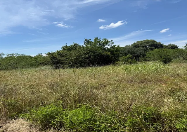 Photo 3 of Land for sale at 0 County Rd 438, Snook, TX 77878 | MLS# 14030483 | Listing updated on 2026-09-16
