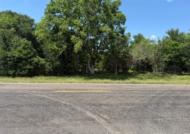 Photo 3 of Land for sale at 0 County Rd 438, Snook, TX 77878 | MLS# 14030483 | Listing updated on 2026-09-16