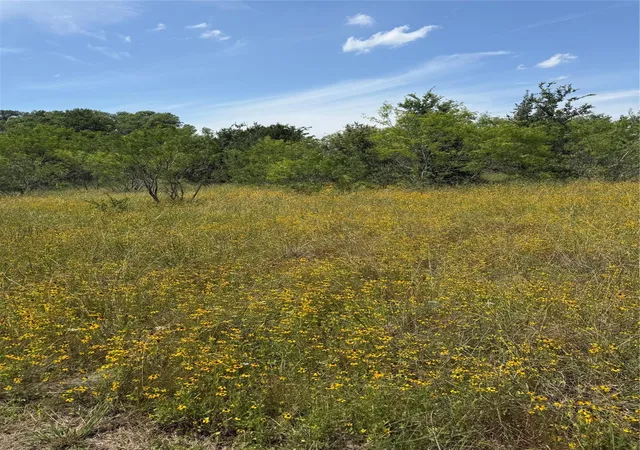 7th image of 0 County Road 438, Snook, TX 77878 | MLS# 14030483