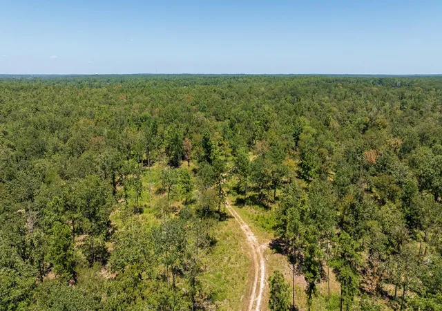 Photo 4 of Land for sale at 00 College Dr, Lufkin, TX 75901 | MLS# 67181651 | Listing updated on 2026-08-21