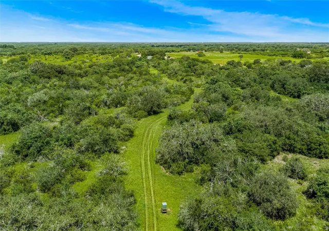 Photo 2 of Land for sale at 000 Mcguill Rd, Goliad, TX 77963 | MLS# 84281218 | Listing updated on 2026-08-26